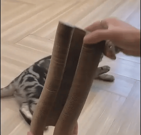 Opvouwbare kartonnen krabdonut | Krabben, spelen en relaxen 🐾 1+1 GRATIS 🐾